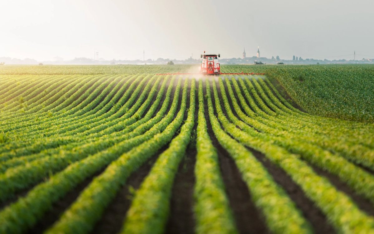 Broadacre cropping under cultivation